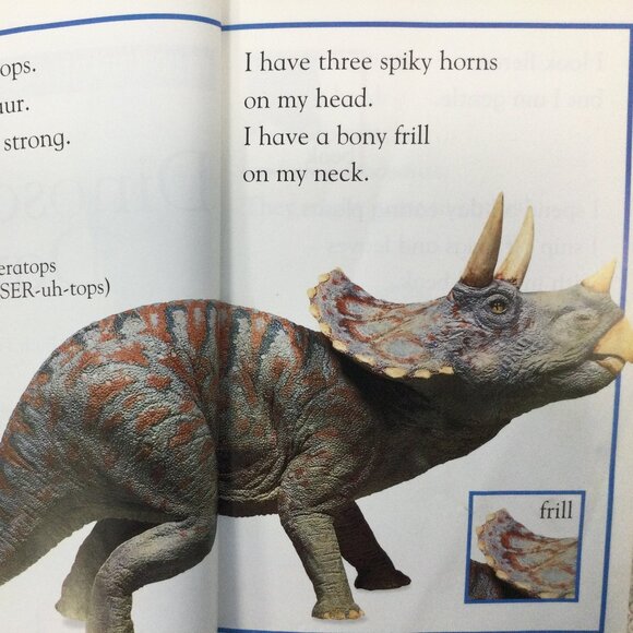 Dinosaur Cards & Book for Kids - Picture 8 of 10